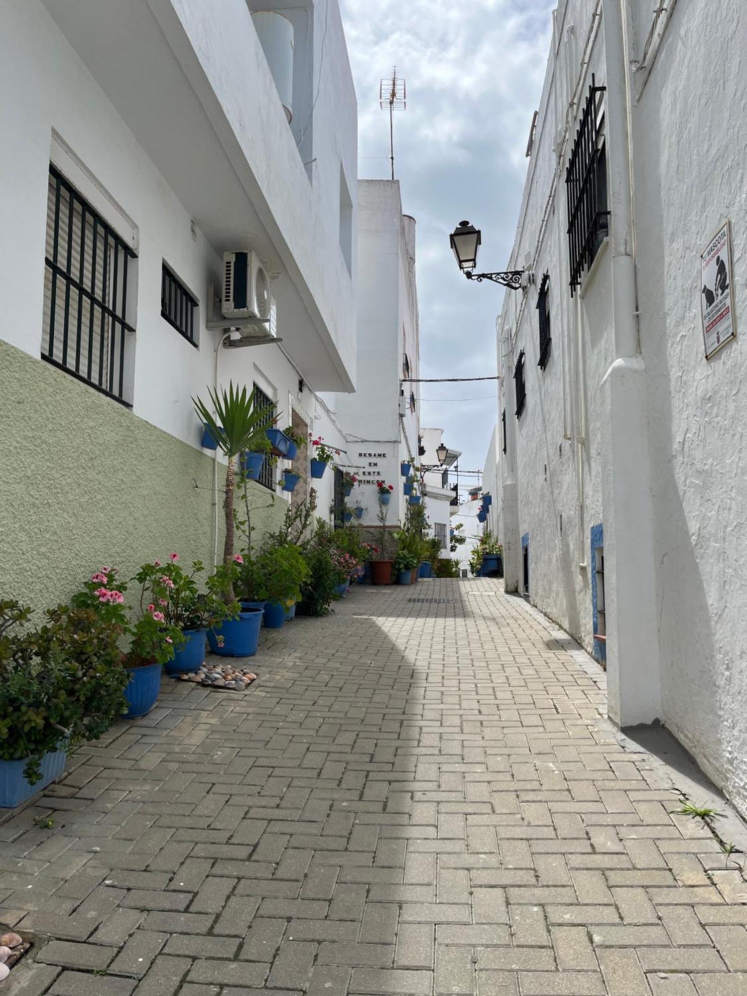 Casa Jurel Lägenhet Conil De La Frontera Exteriör bild